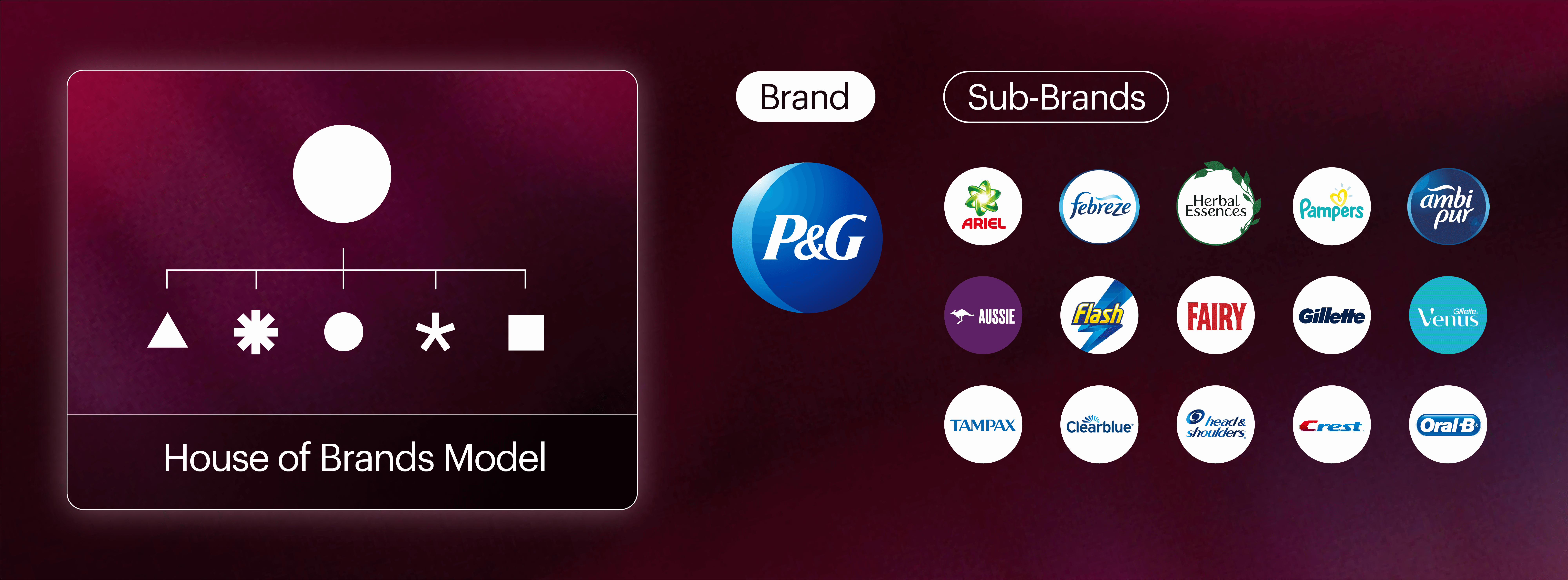 a circle sits at the top of the hierarchy on the left, and different shapes appear below it, representing all brands in a house of brands model being different from each other. On the right is an example of P and G, with the brand logo appearing next to other logos such as ariel, flash, pampers etc.